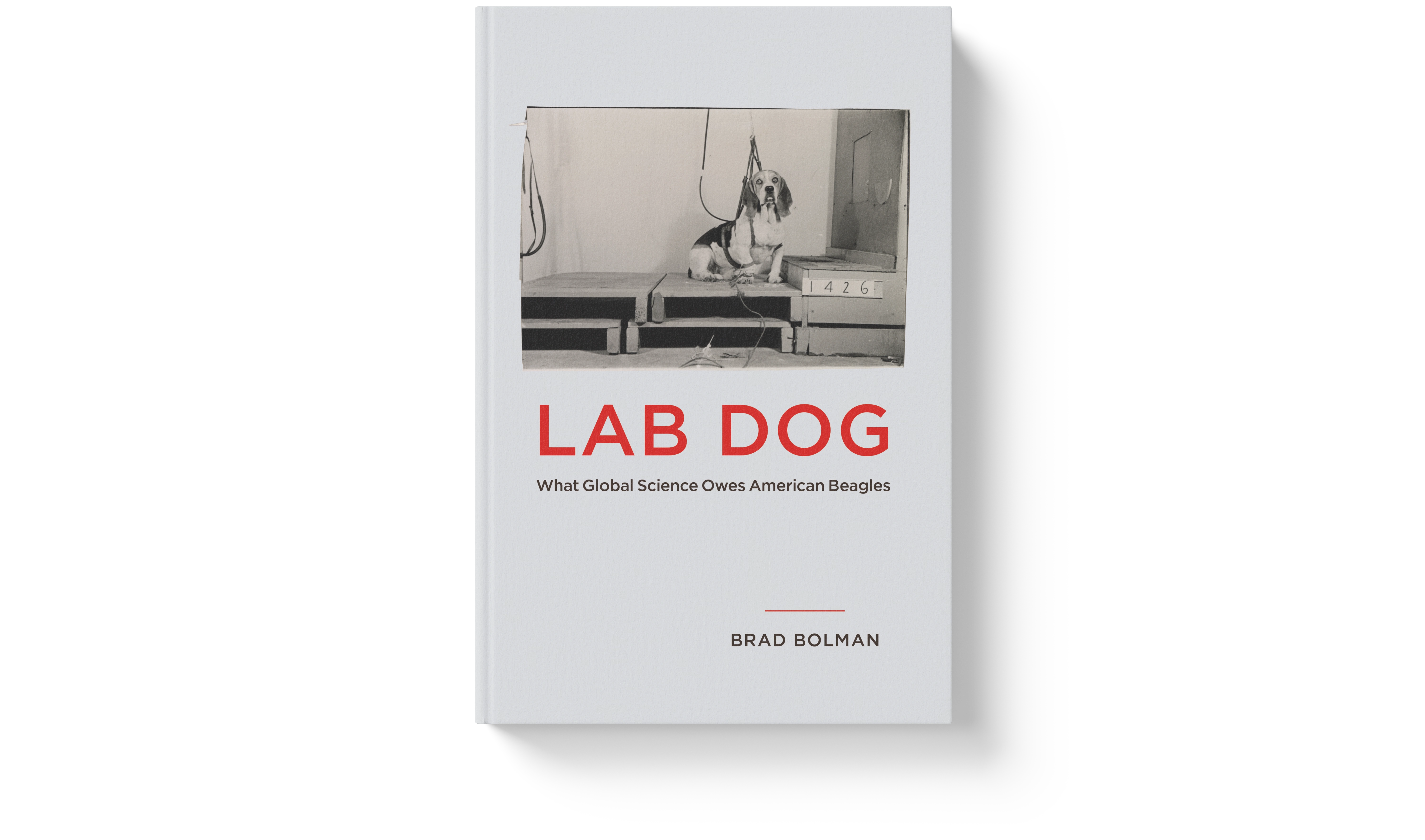 Lab Dog book cover